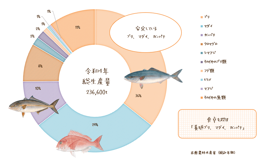 海面養殖魚類生産量割合のグラフ。食卓を潤す「養殖ブリ、マダイ、カンパチ」